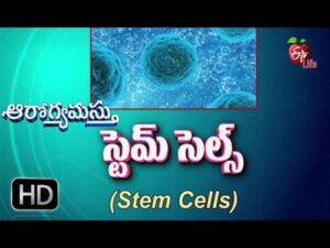Aarogyamastu | Stem Cells | 28th October 2016 | ఆరోగ్యమస్తు