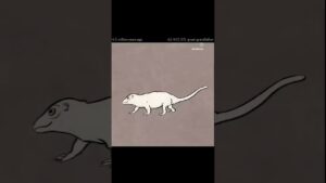 Extinction of human beings|new tech 3.o|#music#football #india #cat #extinctanimals #human #world|