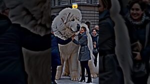 Biggest dog 😱#dog #facts #ai #technology #viralvideo #reels #youtubeshorts #usa #india #ytshorts #yt