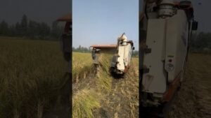 New Technology comes in India || Harvester || #kubota #harvesting #farming @KubotaTractorsIndia